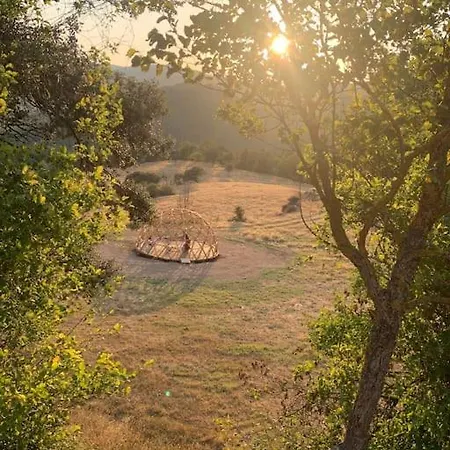 Angrill Holiday home